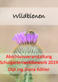 Wildbienen