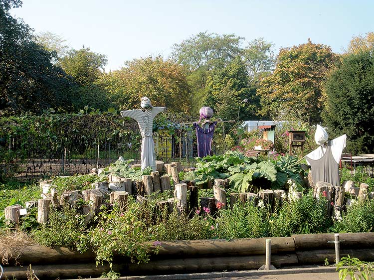 Schulgarten in Berlin