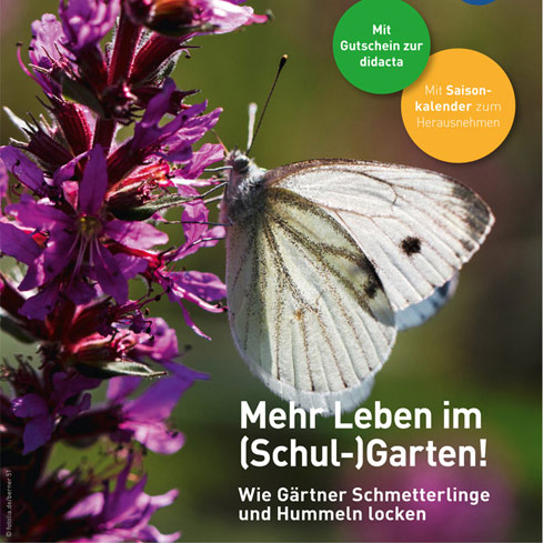 Lehrermagazin „lebens.mittel.punkt“, Ausgabe 1/2027, Nr. 28